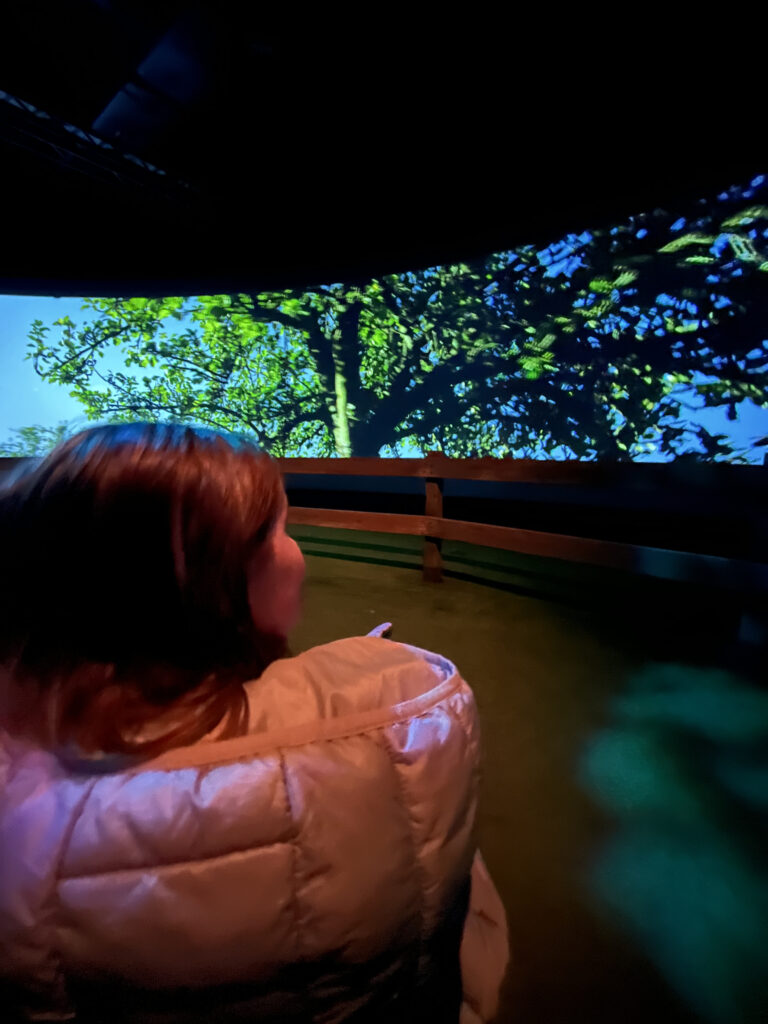 sortie enfant calvados immersion